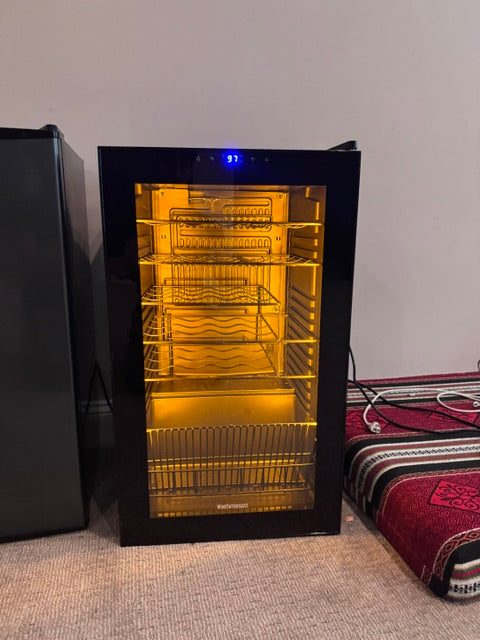 Wine Enthusiast 33-Bottle Wine Refrigerator | Freestanding Wine Cooler